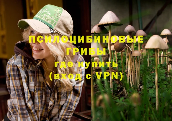 а пвп мука Абаза