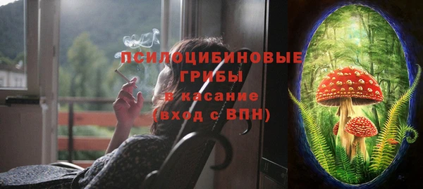 а пвп мука Абаза