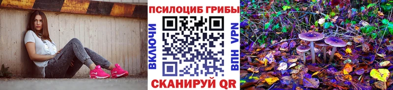 купить наркотик  Сорск  Псилоцибиновые грибы мухоморы 
